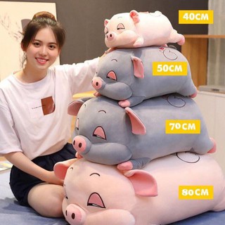 [Cực phẩm] Gấu bông heo(chuột) mặt ngơ kích thước 80cm ngang 50 – Vải mịn bông trắng 3D chất lượng VNXK