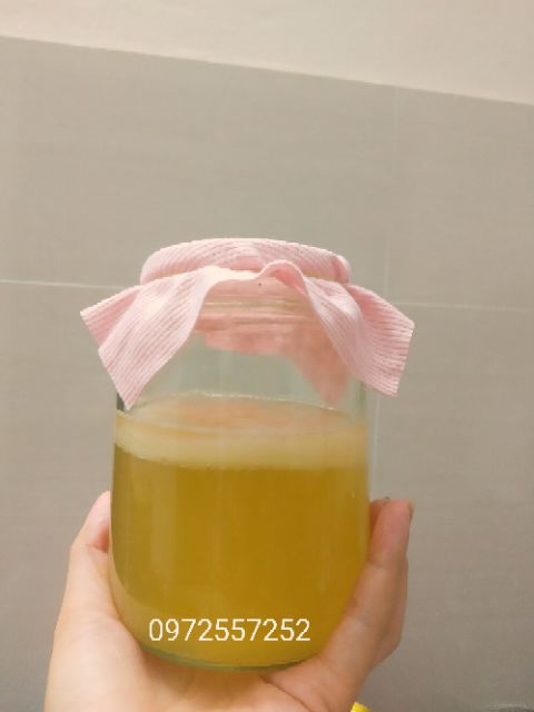 Scoby, , con nấm làm kombucha, kefir. Hướng dẫn nuôi tỉ mỉ đến khi thành công