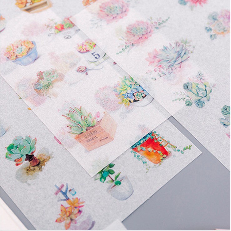 Set 6 tập sticker trang trí cây xương rồng Cantus