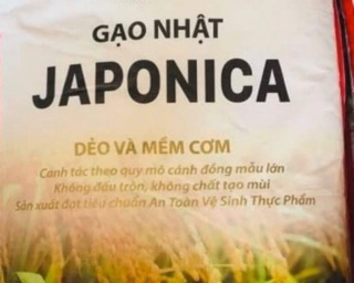 GẠO NHẬT JAPONICA