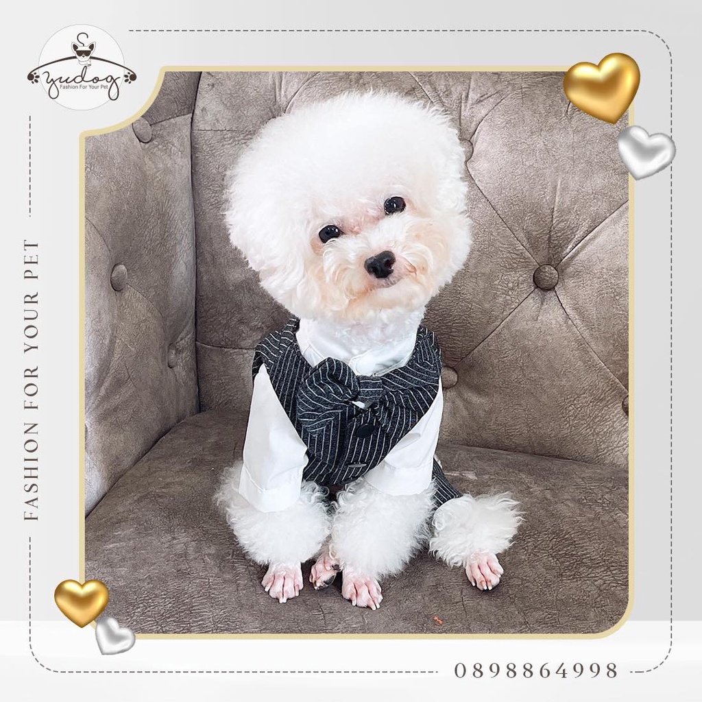 Set ghile - bộ vest dành cho thú cưng chó mèo yudog