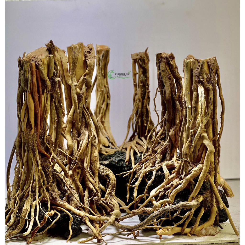 Rễ rừng thuỷ sinh 100g