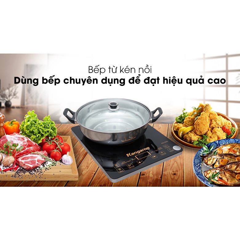 Bếp từ Kangaroo KG408I