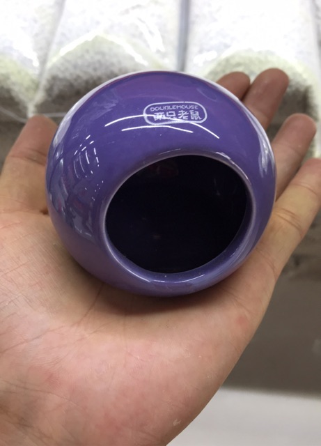 Nhà ngủ sứ tròn