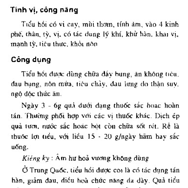 Tiểu hồi hương - hạt thì là Ấn Độ 500g (Thực Thảo)