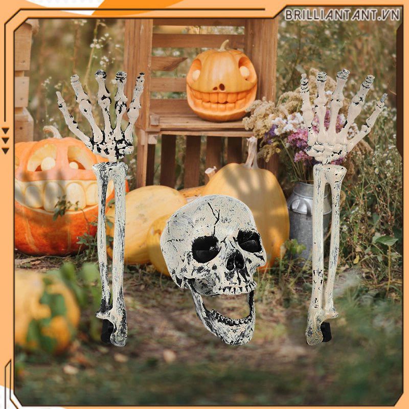 Halloween Hình Đầu Lâu Mô Hình Đầu Lâu Xương Đáng Sợ Kinh Dị Đồng Hồ Kinh Dị Đạo Cụ Halloween Khu Vườn Nhà Bãi Cỏ Trang Trí Bri