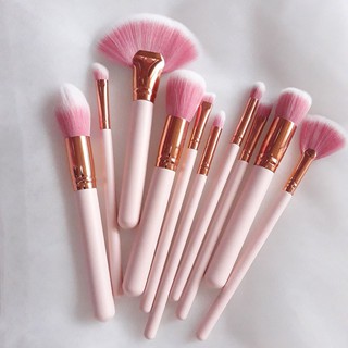 Set Cọ 10 Cây Hồng