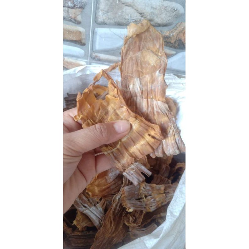 Măng le rừng Kbang-Gia