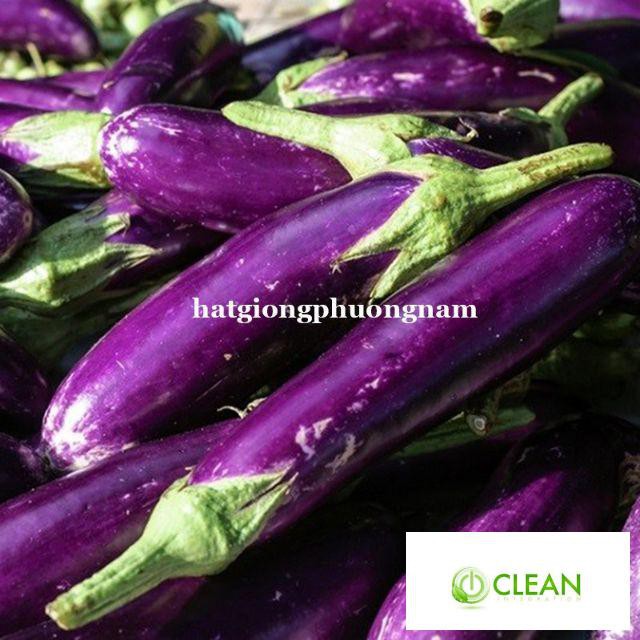 Hạt giống Cà Tím Dài F1 1gram