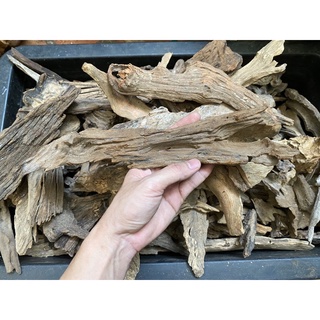 Lũa thuỷ sinh - Săn đá (100gram)