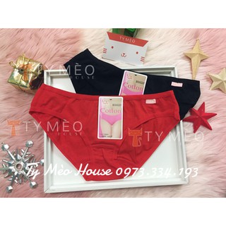🐰Quần chíp xinh Cotton🐰