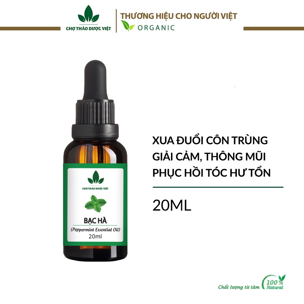 Tinh dầu Bạc Hà nguyên chất 20ml, đuổi muỗi, côn trùng, khử mùi, thơm phòng, treo xe - Chợ Thảo Dược Việt