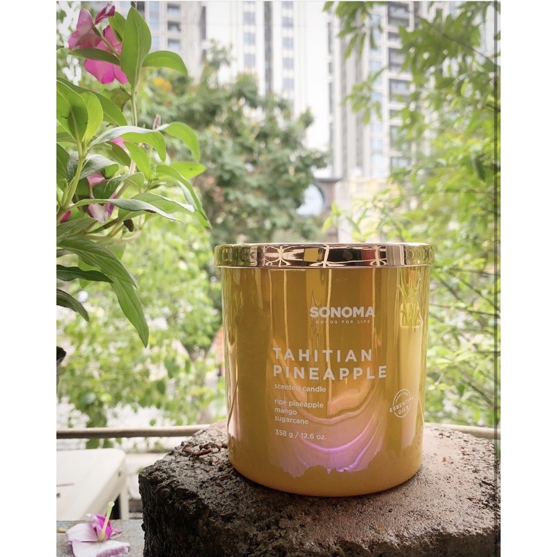 Nến thơm xuất dư mùi hương mùa hè Dứa Xoài Mía 12.6oz 2 bấc - Scented Candle with essential oils