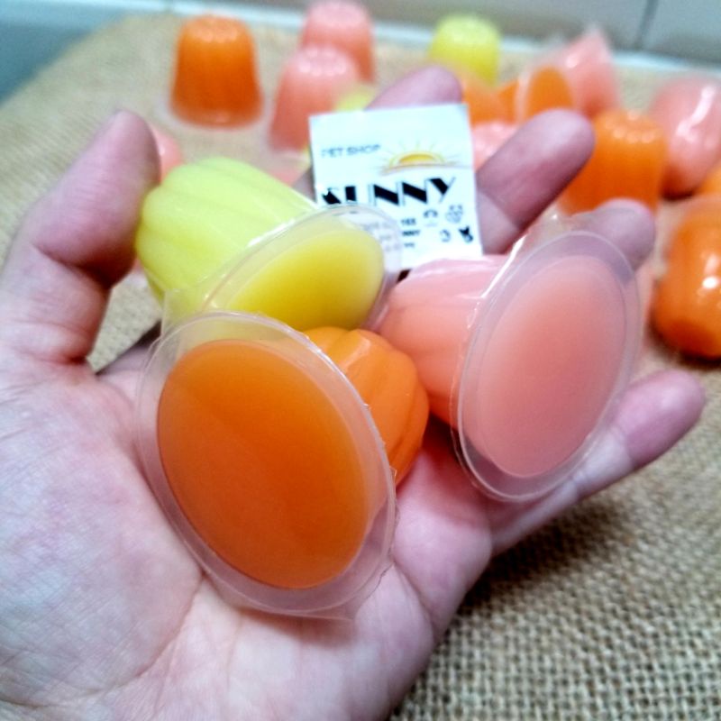 Jelly fruit giải nhiệt cho hamster, sóc (1 viên)