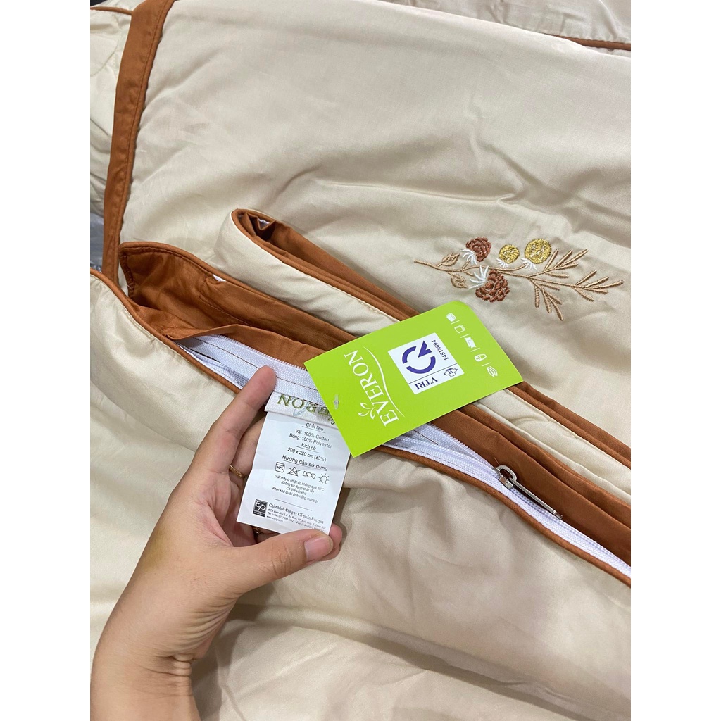 Bộ Drap chun chần EVERON MDSC081