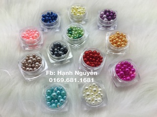 Set Trai Tròn 12 Mầu trang trí móng