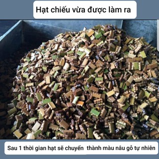 CHIẾU TRE HỮU CƠ - KHỔ 1M2