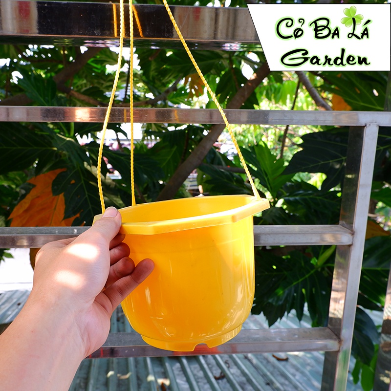 Chậu nhựa treo hình tròn KT 16x13