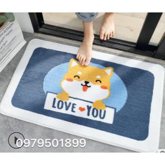 CAM KẾT Y HÌNH Thảm chùi chân cao cấp size 45*65