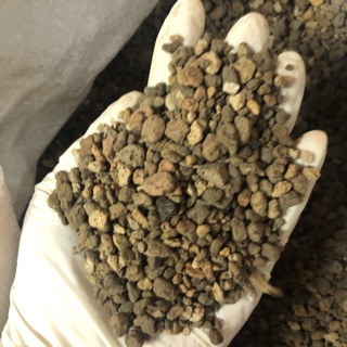 Đá Bọt Pumice indo size 3-6mm 500g