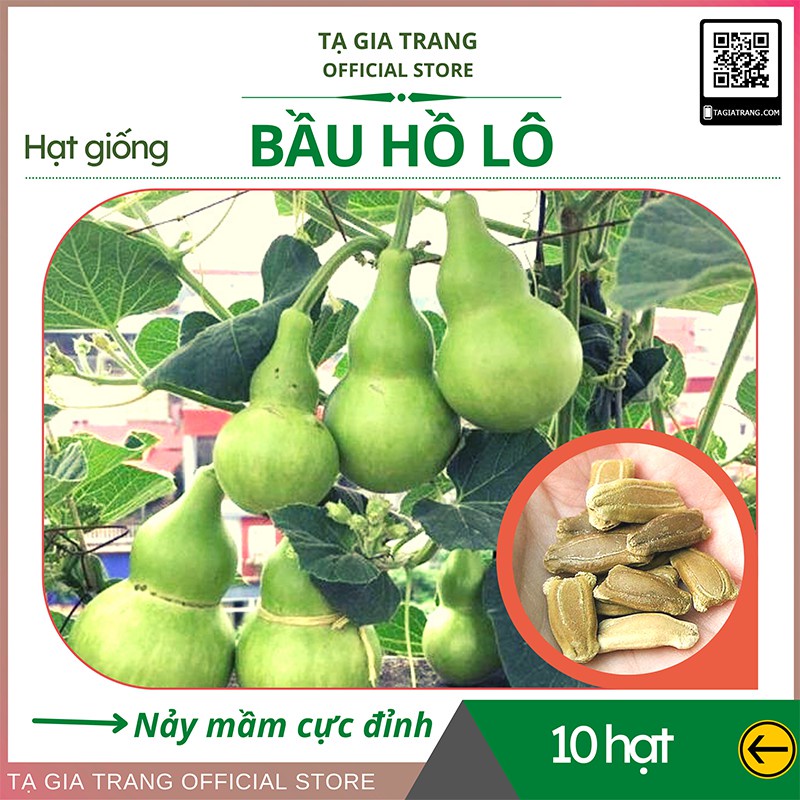 Hạt giống Bầu hồ lô cao sản - Gói 10 hạt