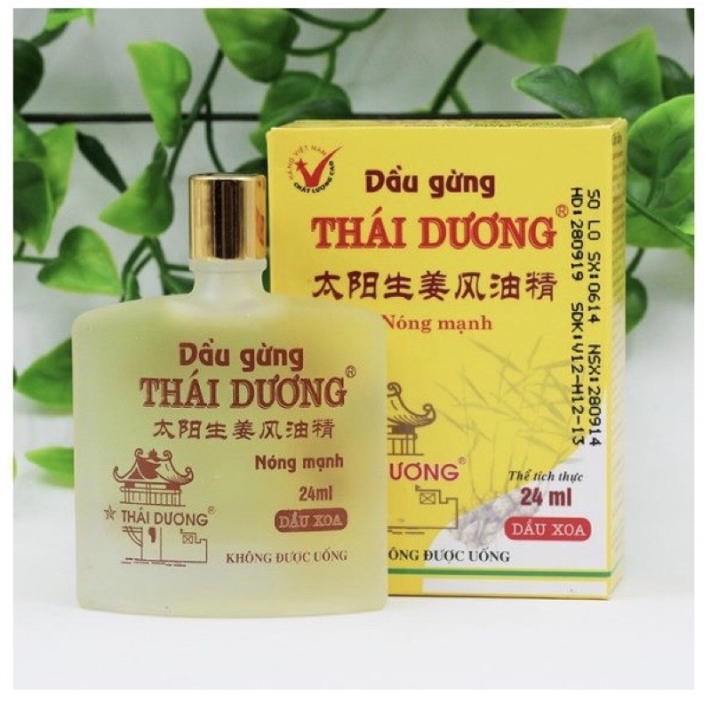 DẦU GỪNG THÁI DƯƠNG 6ML