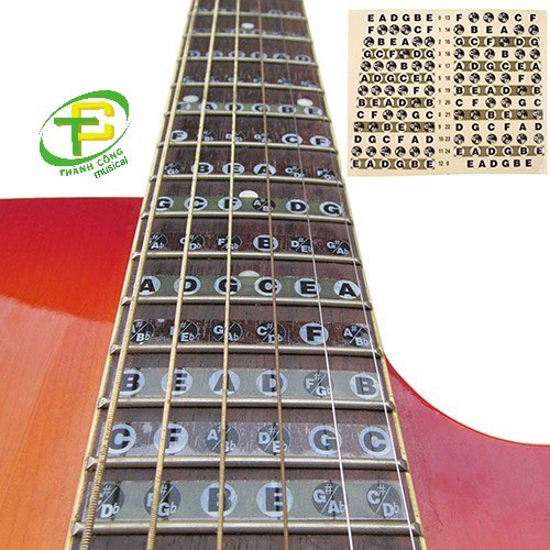 Miếng dán nốt nhạc trên cần đàn guitar | Nhạc Cụ Thành Công