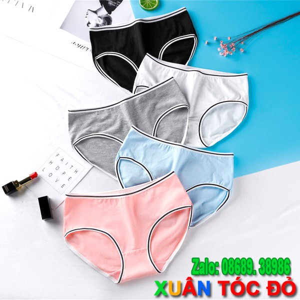  SỈ ZALO RẺ HƠN NHIỀU_ Quần Lót Cotton Nhiều Màu Viền Kẻ Mới Siêu Đẹp H013 | BigBuy360 - bigbuy360.vn