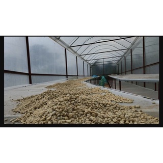 Organic Blend 500g