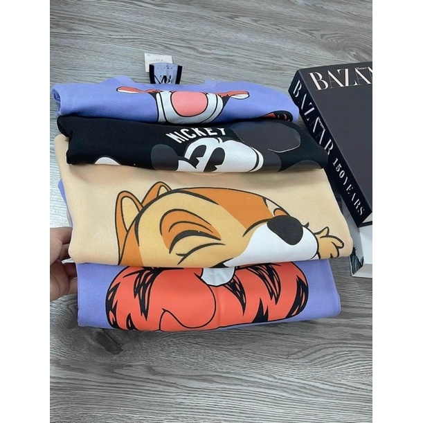 COMBO 3 ÁO NỈ UNISEX CHO BÉ