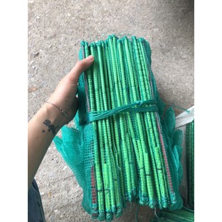 Lồng bát quái 24 khung chã xanh ngọc - bắt cá bẫy cá thông minh