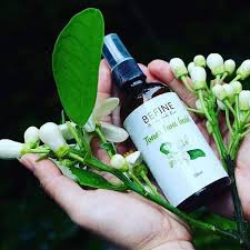 Nước Hoa Nam Brown Ochird 80ML Nhóm Hương Gỗ Cay Cực Kỳ Men | BigBuy360 - bigbuy360.vn