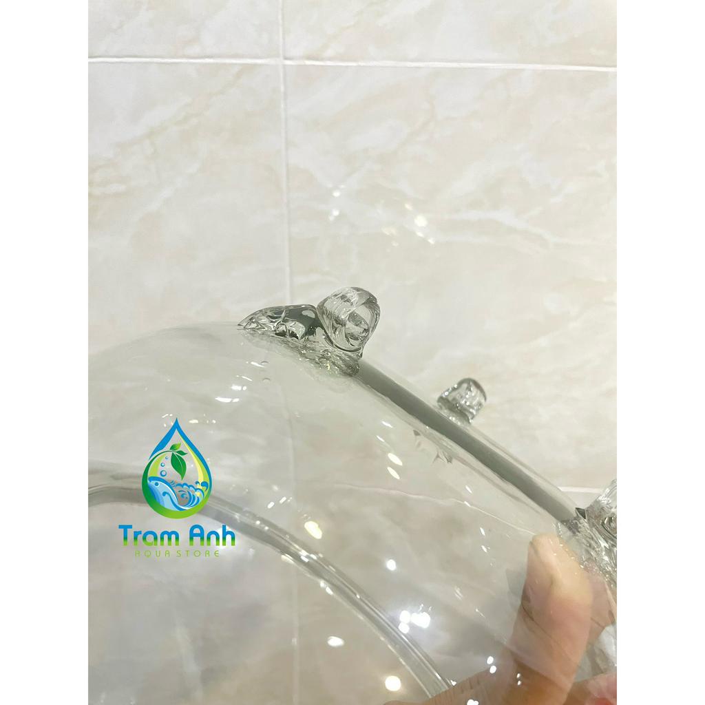 (CHỈ GIAO HỎA TỐC ) Bể thủy tinh tròn - hồ cá bầu tròn - siêu trong hàng nhập - terrarium - tiểu cảnh để bàn