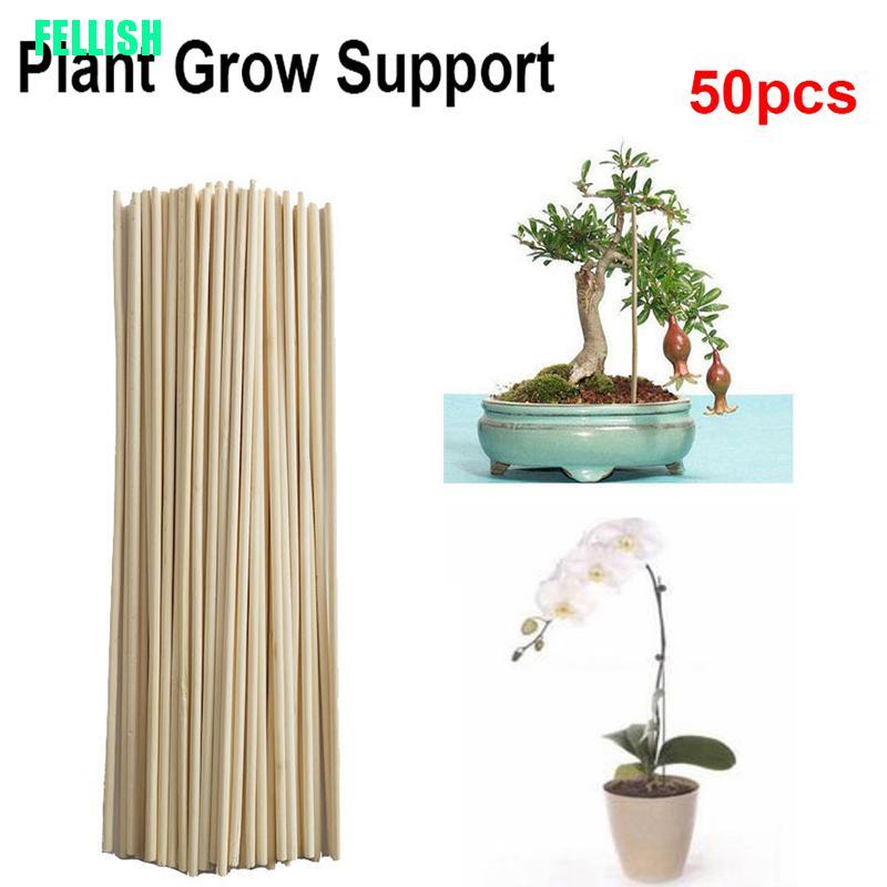 Bộ 50 Que Gỗ Hỗ Trợ Trồng Cây