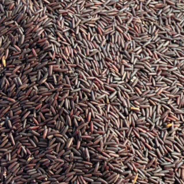 Trà gạo lứt rang(500gr)