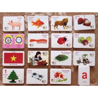 Bộ Thẻ Học Thông Minh Cho Bé 16 chủ đề, 416 Thẻ Flashcard Song Ngữ Anh Việt Cho Bé