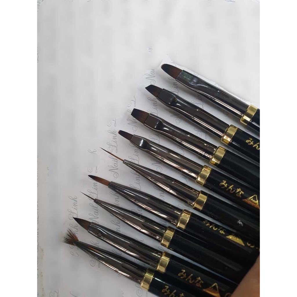 Cọ tati 9 cây có bán lẻ