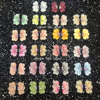 Hoa Cúc Rubi (7000đ/1 bông)