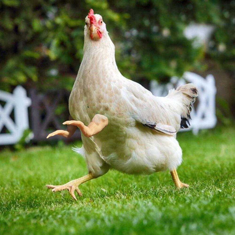 AUGUSTINA Đồ Chơi Cánh Tay Gà T-Rex Không Độc Hại Dùng Trang Trí