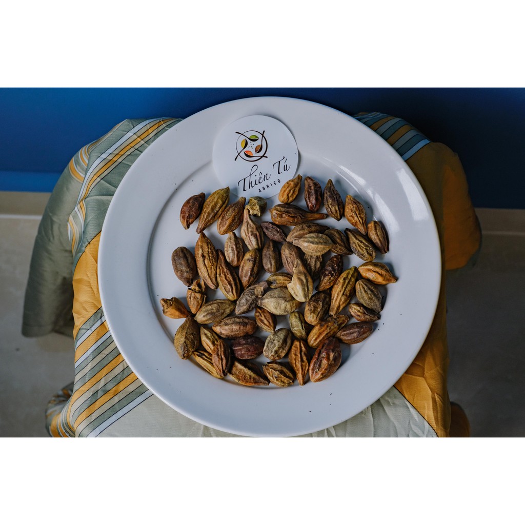 HẠT KHA TỬ TRỊ HO (A TỬ) 100GR | BigBuy360 - bigbuy360.vn