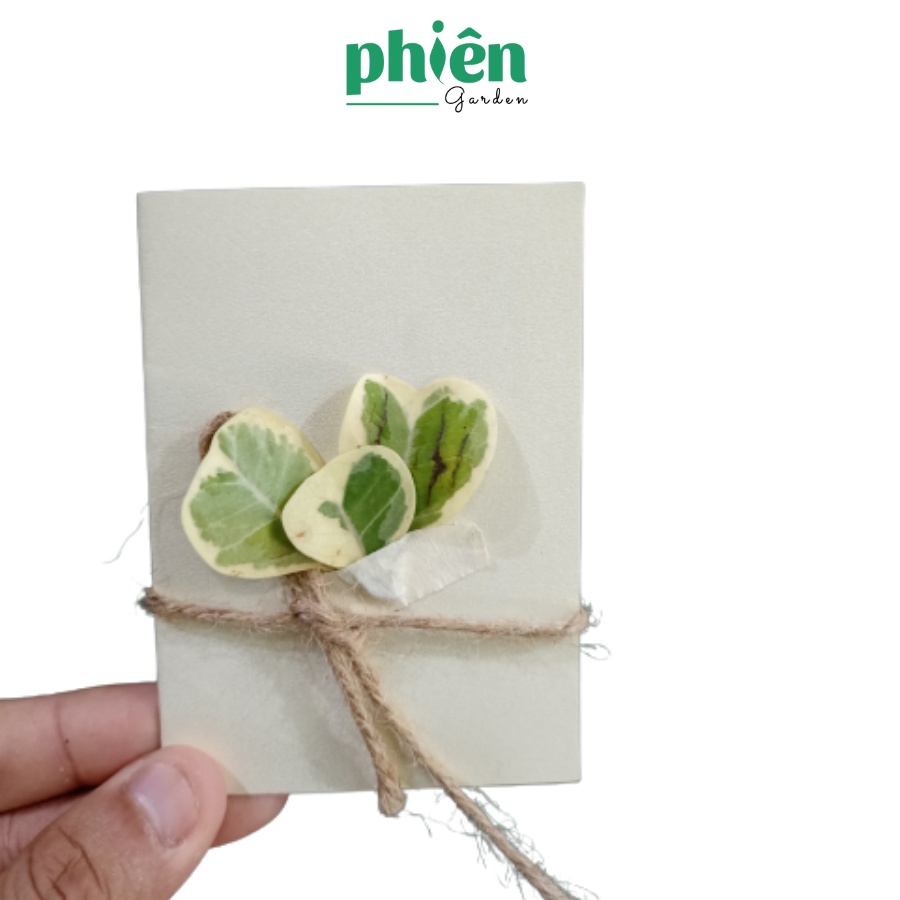 Thiệp hoa khô handmade giấy cứng siêu xinh