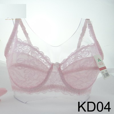 Bao Giá Toàn Quốc- Áo Lót Ren 2004 Có Gọng Không Đệm Cao Cấp- Hàng lọai 1 | BigBuy360 - bigbuy360.vn