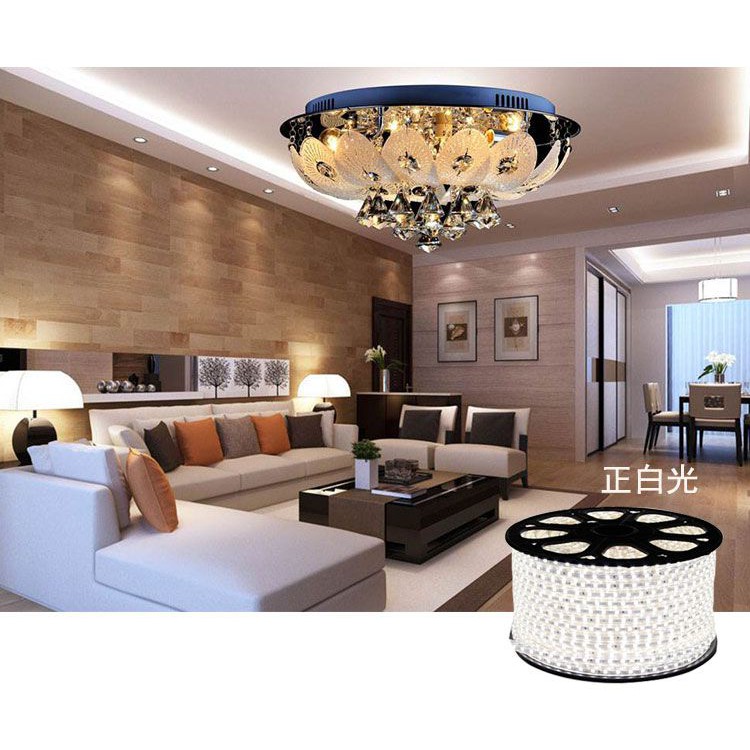 Led dây 5050 - 220v Đủ màu giá 1 mét