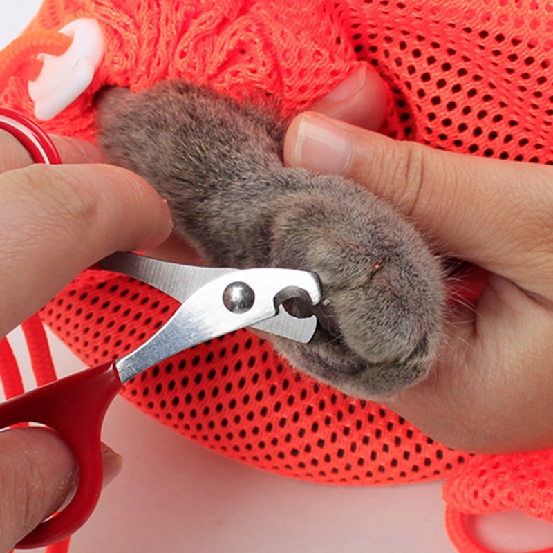 Túi Giữ Thú Cưng Khi Tắm, Cắt Móng
