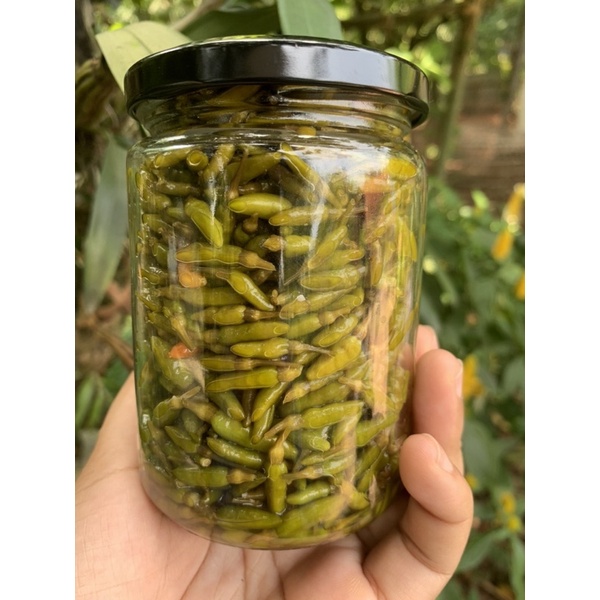 Ớt gió Đồng Văn Hà Giang xóc muối, ớt cứt chuột xóc muối   hũ thuỷ tinh 250 gram