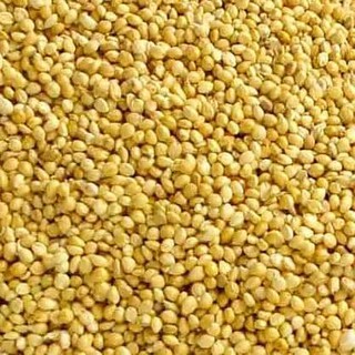 500g hạt kê tắm bé, thức ăn cho chim