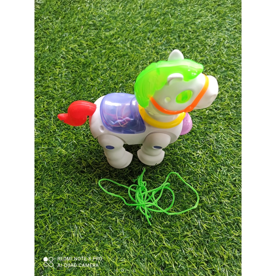 N gựa pony pin