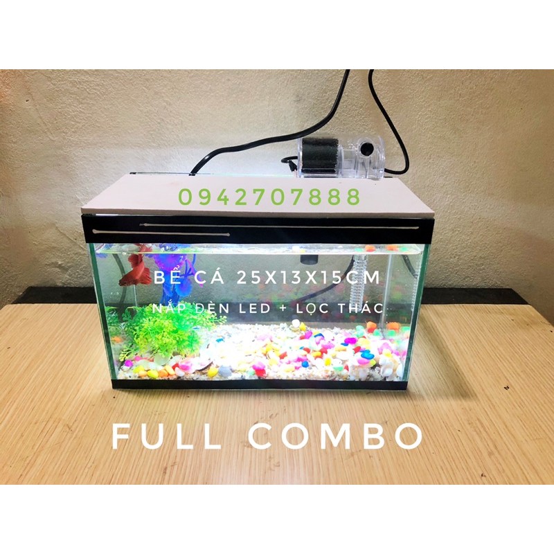 Set bể cá mini có lọc kèm nắp đèn và 7 món( bể, lọc, cây, sỏi màu, vỏ sò biển, nắp đèn led, thức ăn cá)