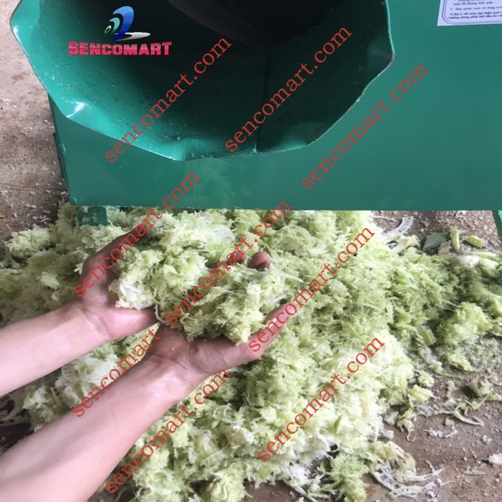 Máy xay cây chuối xay cỏ voi cho trâu,bò,dê,gà