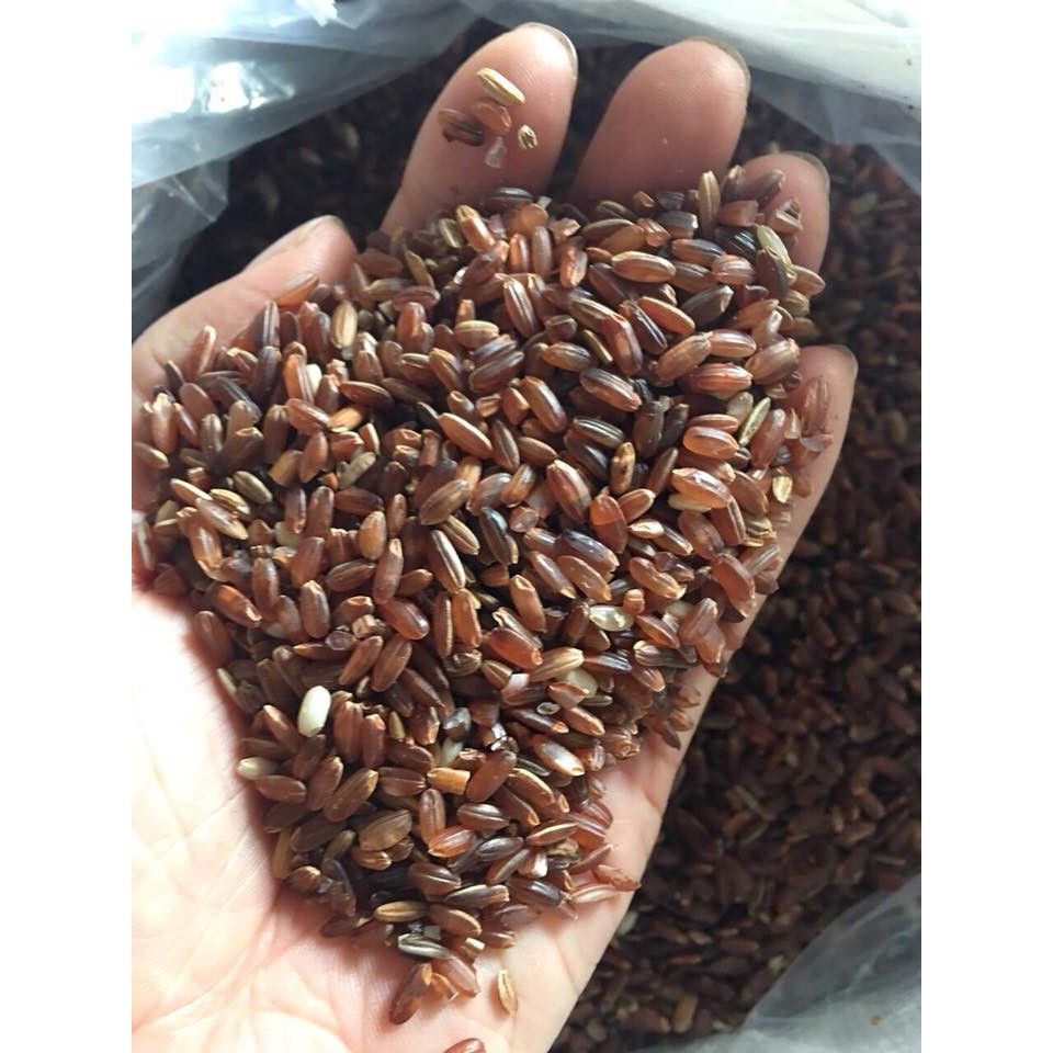 Gạo Lứt Đỏ Điện Biên Chính Hiệu gói 2kg Chất lượng Cao | BigBuy360 - bigbuy360.vn